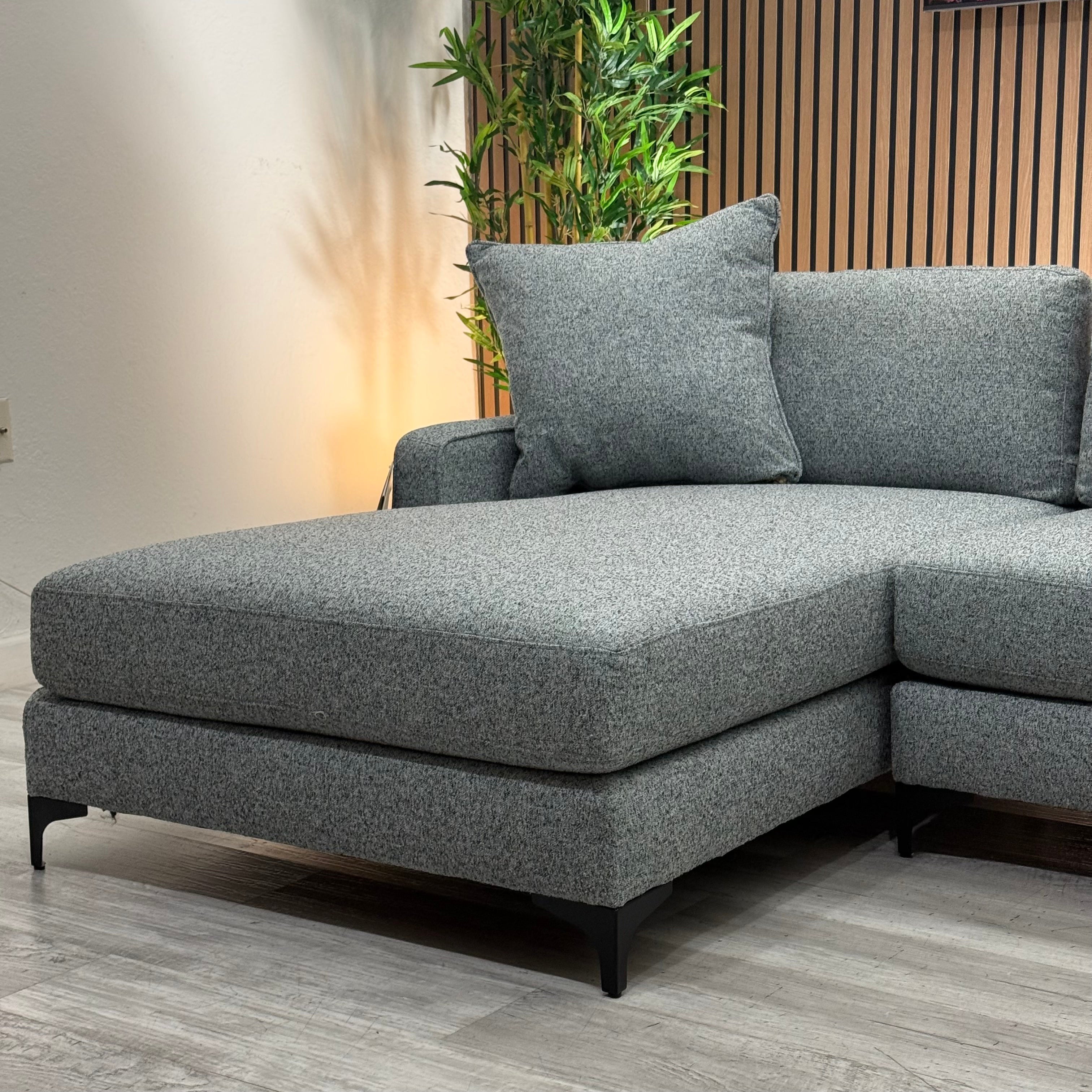 Gray Sectional Couch