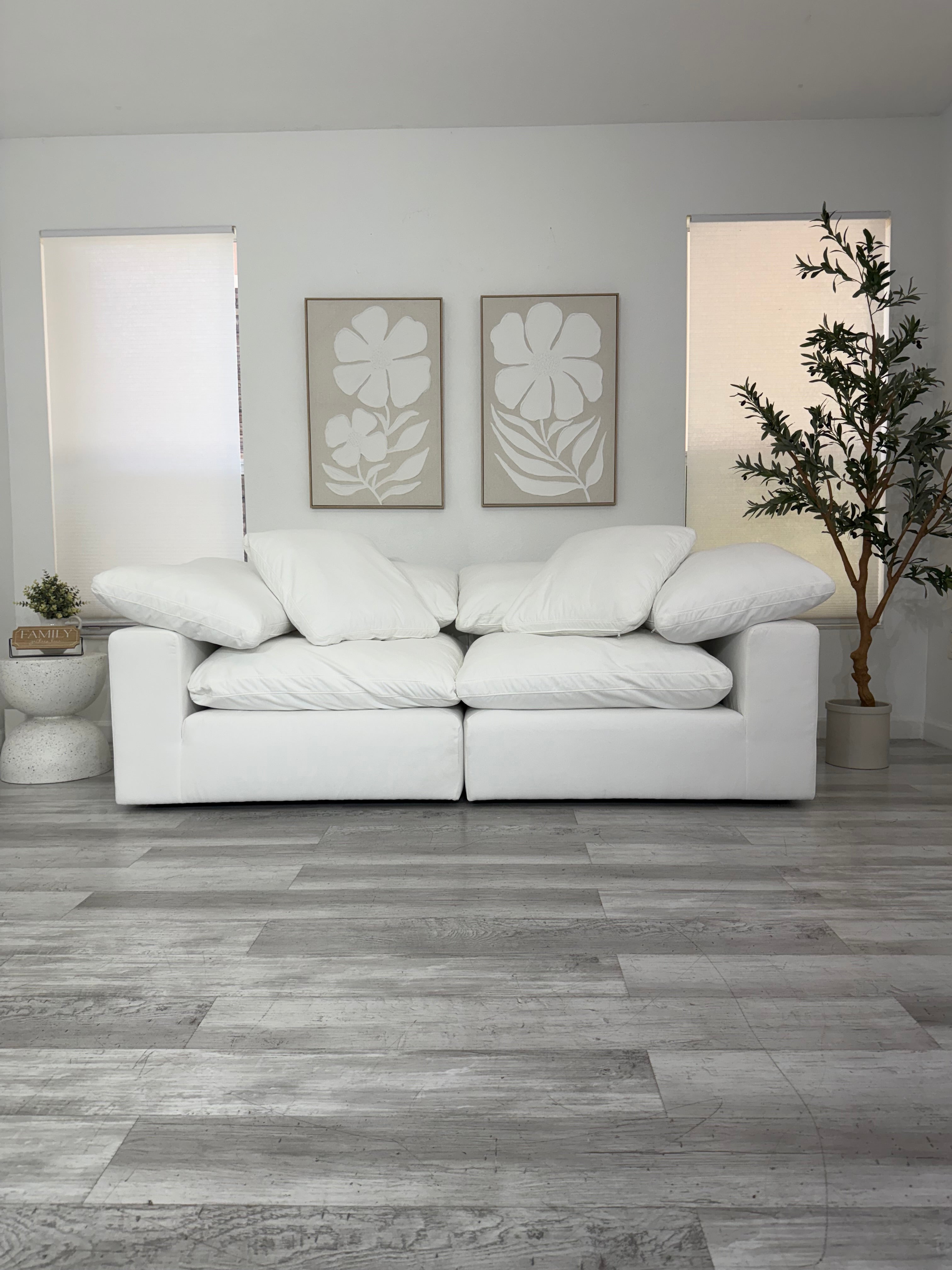 Modular Cloud 2 Seater