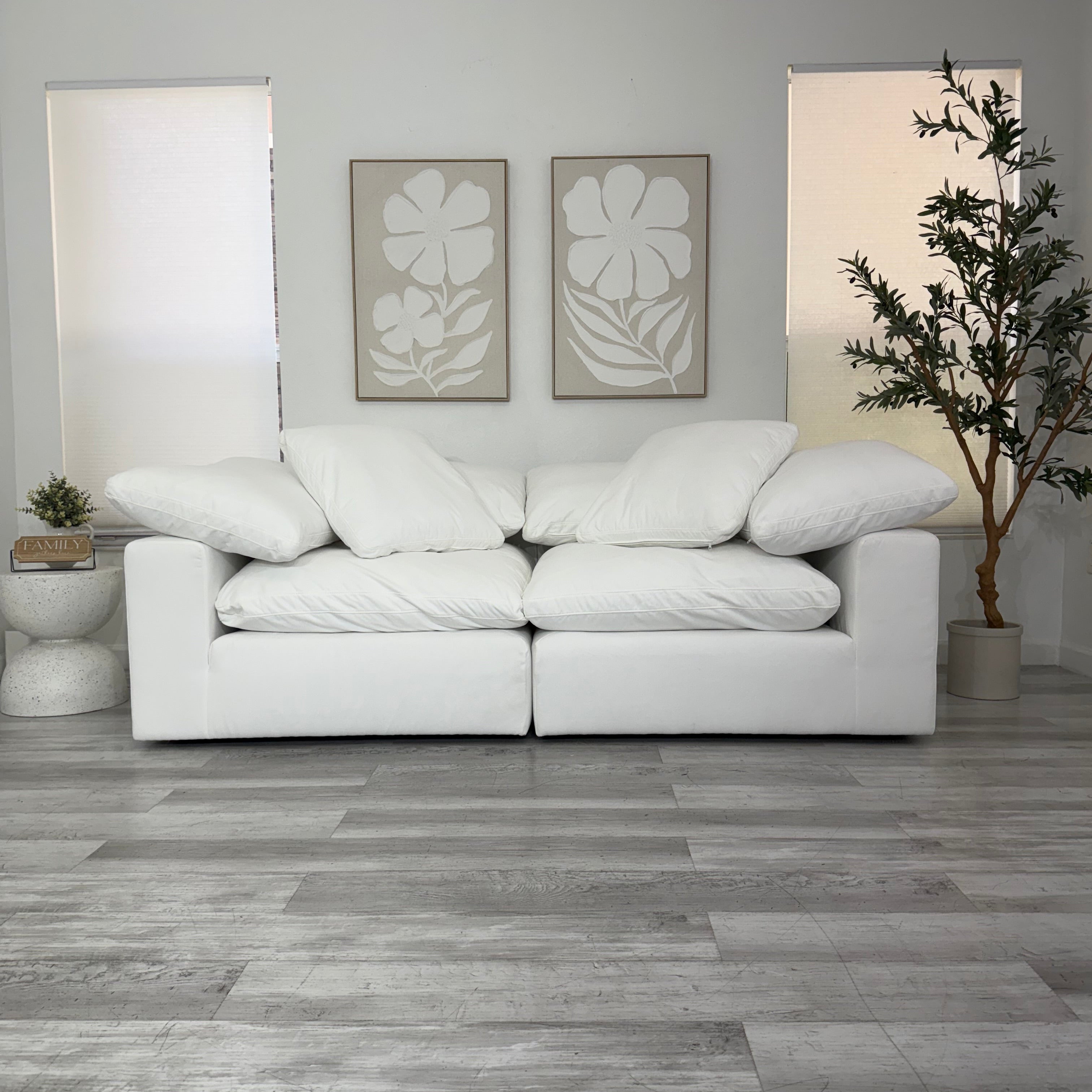 Modular Cloud 2 Seater