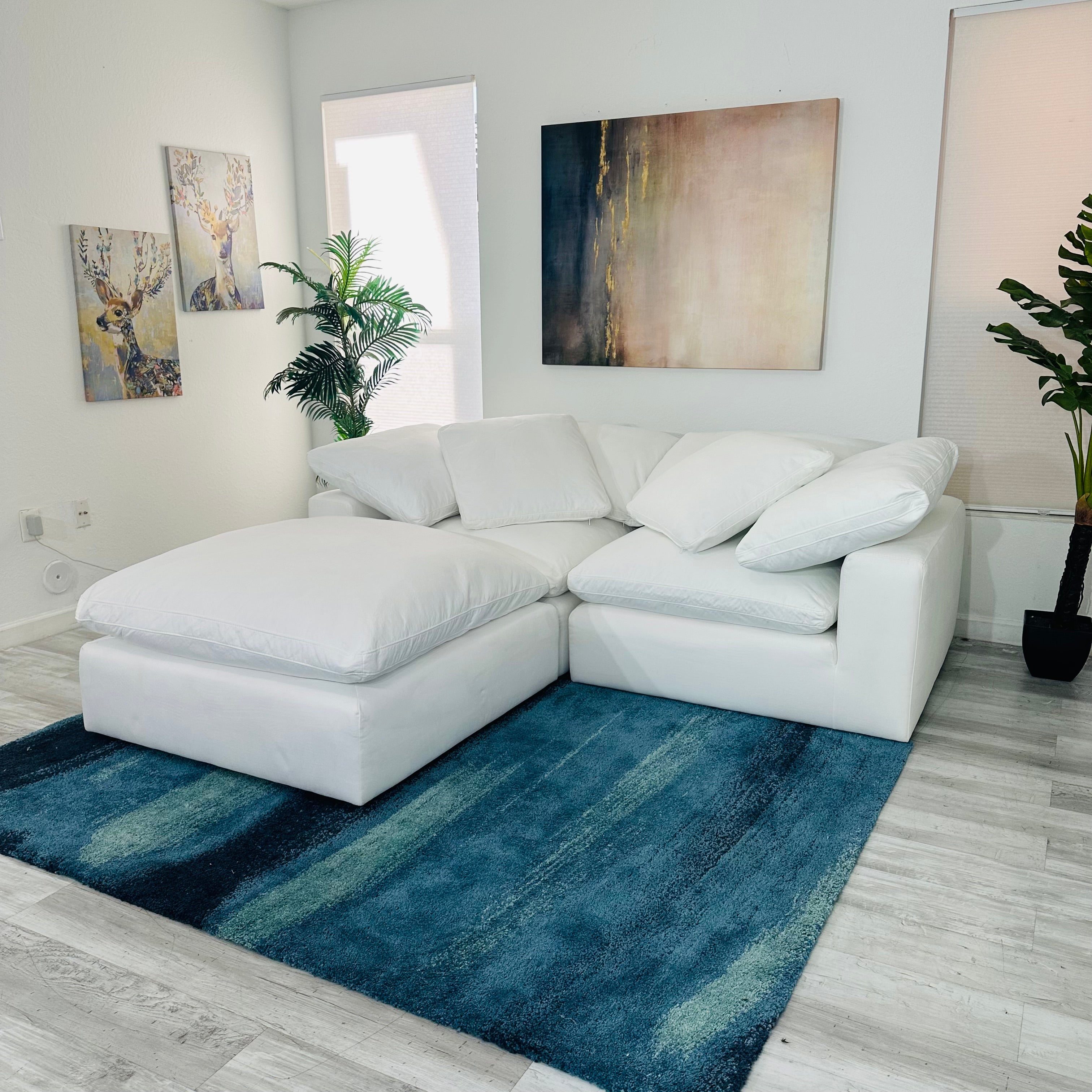 Modular Cloud 2 Seater & Ottoman