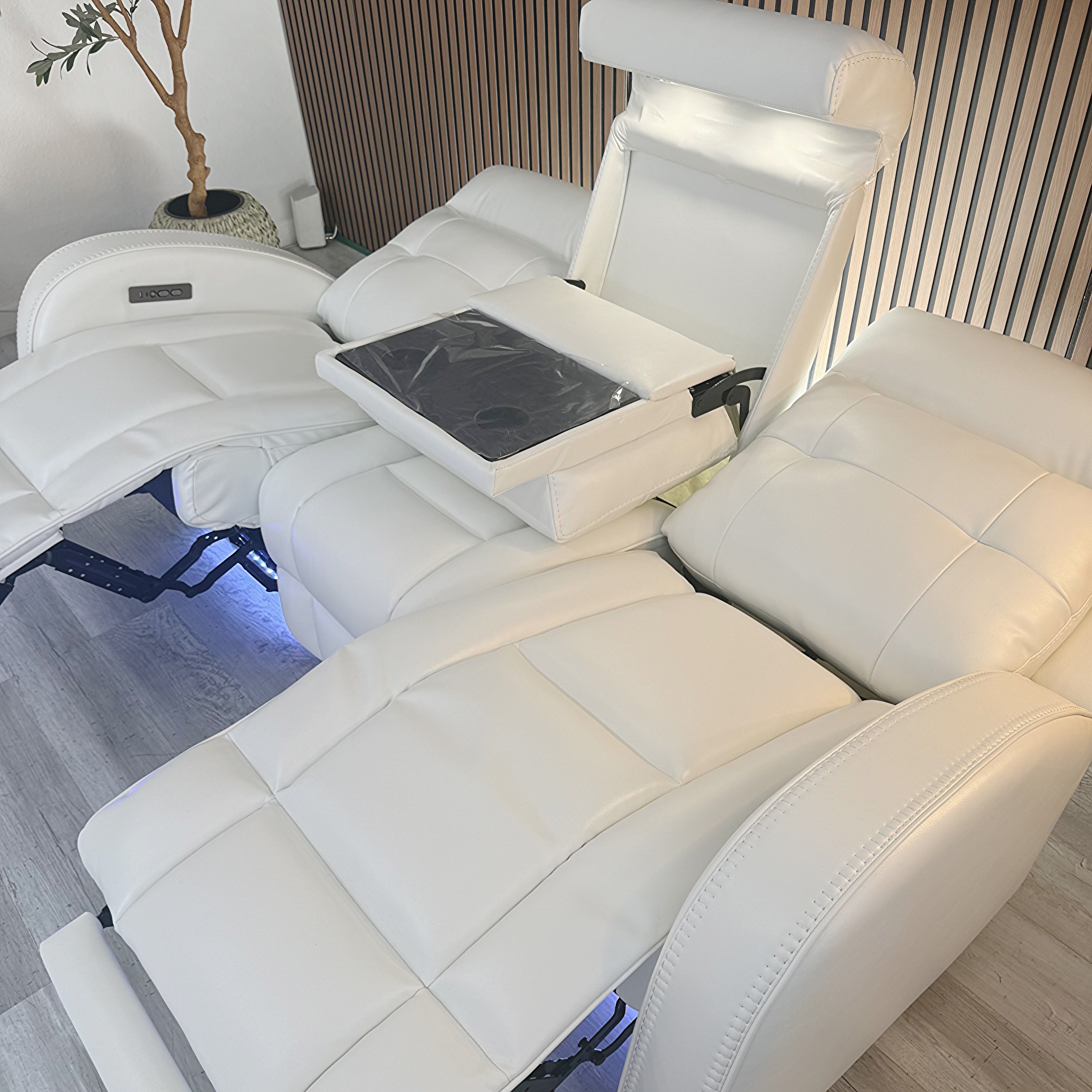Omega White Micro Power Reclining Sofa